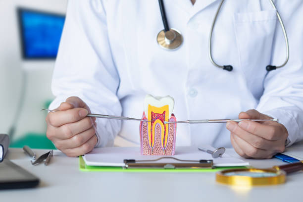 Fast & Reliable Emergency Dental Services in WY
